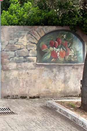 ramo di corbezzolo con fiori e frutti