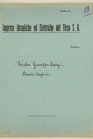 Virdis Giuseppe Luigi – Piante tagliate (Reclamo contro Imoprese Tirso per la costruzione diga del Tirso)