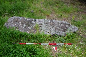 statua menhir