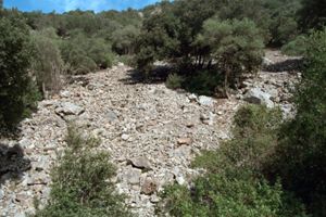 Miniera di Monte Cerbus