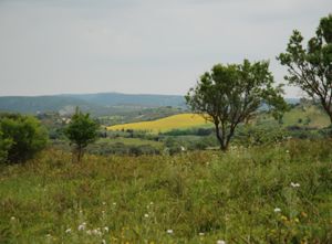 Vista dall’acropoli di Santu Teru