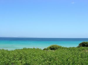 Co’equaddus, spiaggia e vegetazione limitrofa