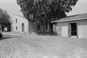 Azienda agricola Banzas