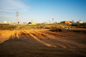 Stagno di Cagliari