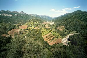 Valle del Rio Pardu, veduta da SS.125