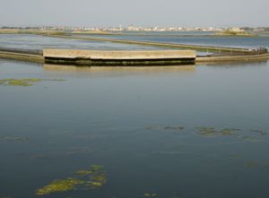 Stato attuale del sito di Cuccuru is Arrius con i diaframmi del canale scolmatore