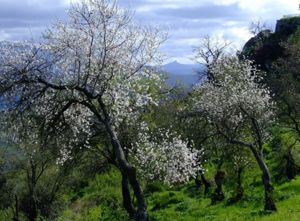 Nuoro