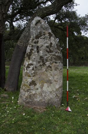 menhir aniconico