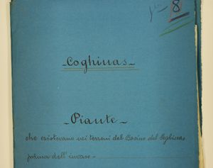 Coghinas - Piante che esistevano nei terreni del Bacino del Coghinas prima dell’invaso