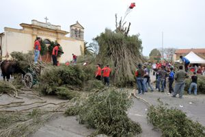 Festa di Sant'Antioco Palmas Arborea