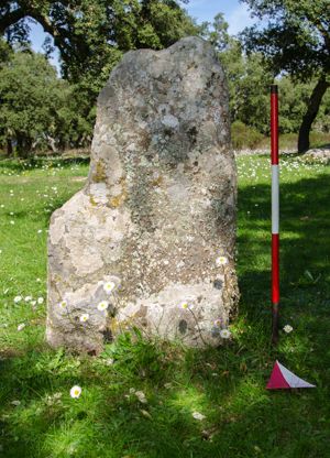 menhir aniconico