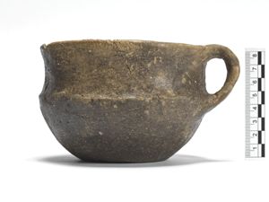 tazza/ carenata