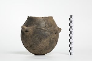 olla/ quadriansata