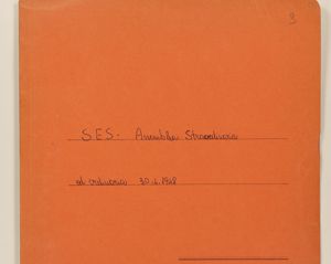 SES - Assemblea straordinaria ed ordinaria, 30-04-1948