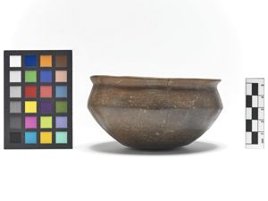 tazza/ carenata