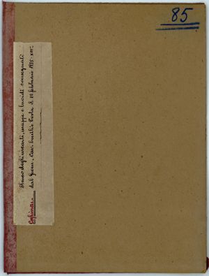 Coghinas - Elenco degli impianti, mappe e lucidi consegnati dal Geom. Cav. Emilio Testa il 26 febbraio 1935 – XIII