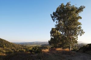 Mutamento del paesaggio nelle aree industriali - Miniera di Mont'Arbu