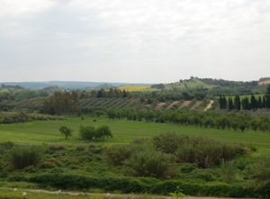 Vista dalla necropoli di Monte Luna