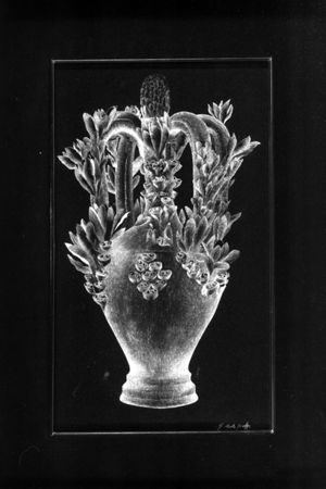 Vaso ornamentale