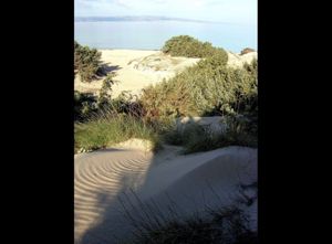 Dune alle saline di Calasetta