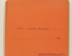 SES - Assemblea straordinaria, 1953 - Omologata dal Tribunale il 24-12-1953