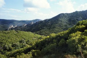 Nuraghe Fraigada,veduta verso Scala Manna