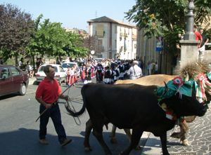 Processione in onore di Sant'Isidoro