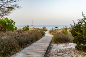 capo-comino