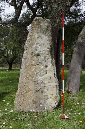 menhir aniconico