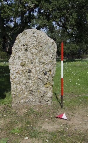 menhir aniconico